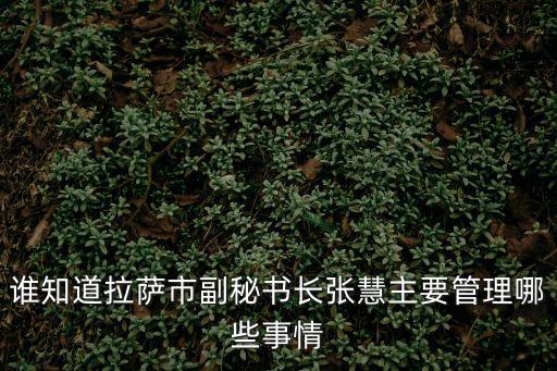 誰知道拉薩市副秘書長張慧主要管理哪些事情