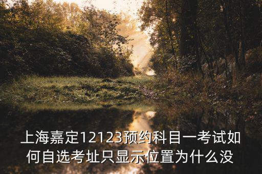 上海嘉定12123預(yù)約科目一考試如何自選考址只顯示位置為什么沒(méi)
