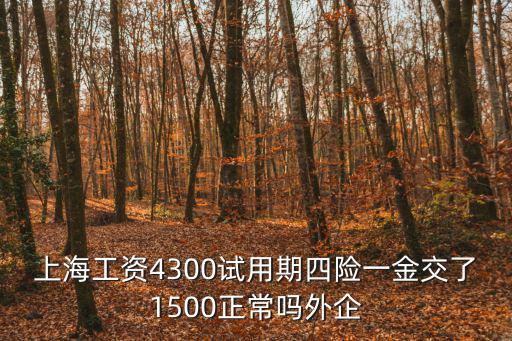 上海工資4300試用期四險一金交了1500正常嗎外企