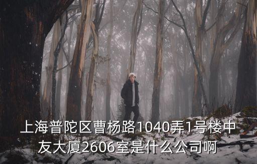 上海普陀區(qū)曹楊路1040弄1號樓中友大廈2606室是什么公司啊