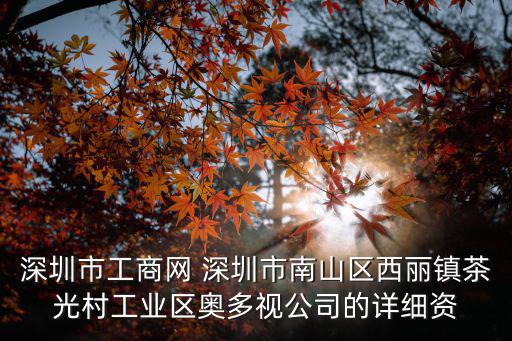 深圳市工商網 深圳市南山區西麗鎮茶光村工業區奧多視公司的詳細資