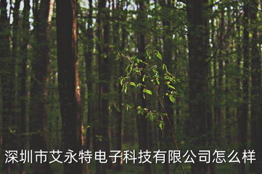 深圳市艾永特電子科技有限公司怎么樣