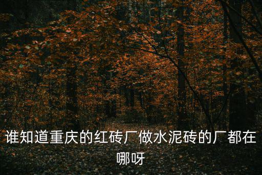 誰(shuí)知道重慶的紅磚廠做水泥磚的廠都在哪呀