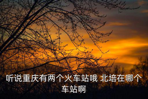 聽說重慶有兩個火車站哦 北培在哪個車站啊