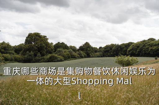 重慶哪些商場是集購物餐飲休閑娛樂為一體的大型Shopping Mall