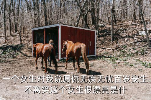 一個女生對我說愿你無疾無憂百歲安生不離笑這個女生很漂亮是什
