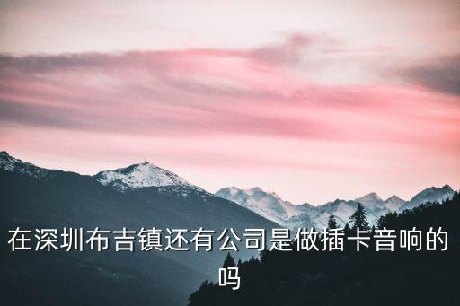 深圳音響布，在深圳布吉鎮還有公司是做插卡音響的嗎