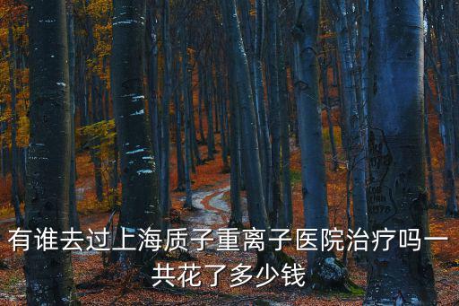 上海市質子重離子醫院，上海市質子重離子醫院是公立醫院嗎