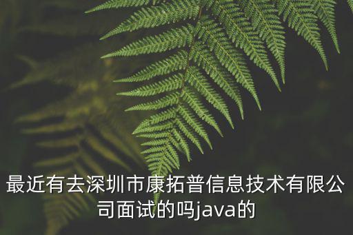 最近有去深圳市康拓普信息技術有限公司面試的嗎java的