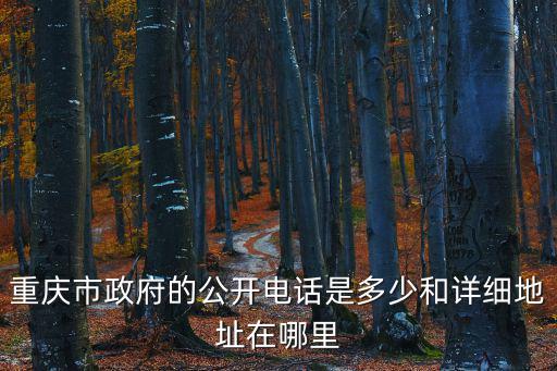 重慶市渝中區(qū)政府聯(lián)系電話，重慶市市政府和人大在哪里具體位置