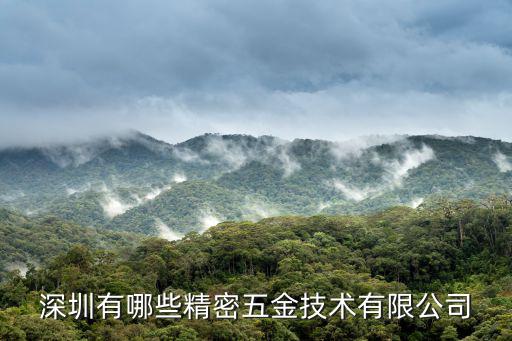 深圳有哪些精密五金技術有限公司