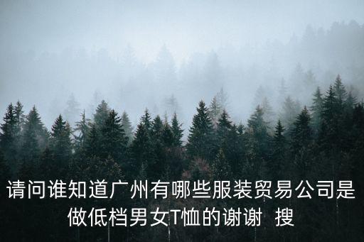 請問誰知道廣州有哪些服裝貿(mào)易公司是做低檔男女T恤的謝謝  搜