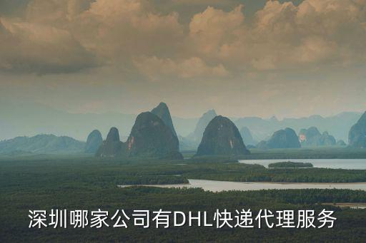 深圳博安達(dá) 中標(biāo)，深圳哪家公司有DHL快遞代理服務(wù)
