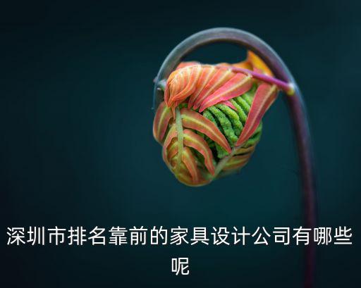 深圳美哲家具，美廷美瑞家具在深圳有店嗎