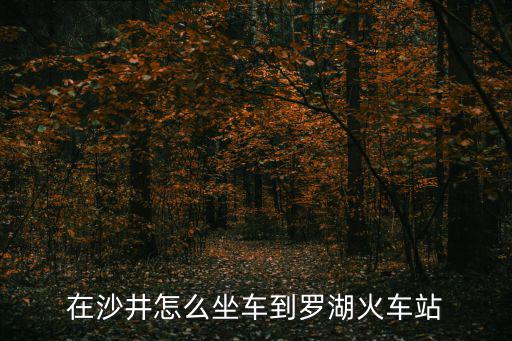 在沙井怎么坐車到羅湖火車站