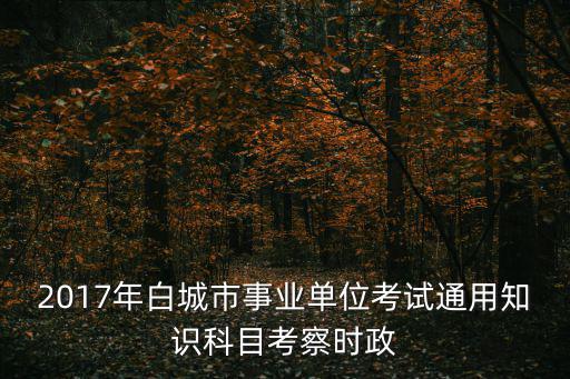 2017年白城市事業單位考試通用知識科目考察時政