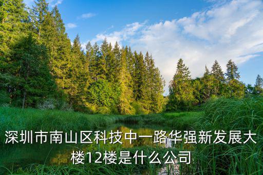 深圳市南山區科技中一路華強新發展大樓12樓是什么公司