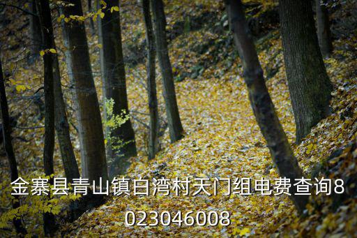 金寨縣青山鎮白灣村天門組電費查詢8023046008