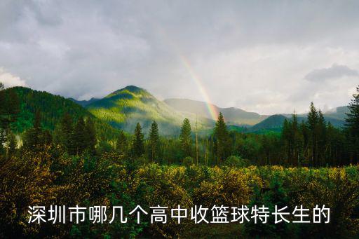 羅斌 籃球 深圳，廣東誰進NBA