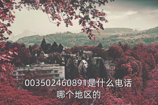003502460891是什么電話哪個(gè)地區(qū)的