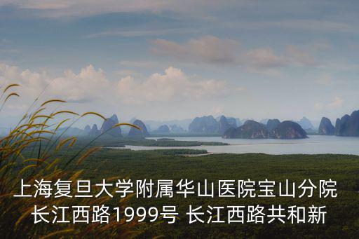 上海復旦大學附屬華山醫院寶山分院 長江西路1999號 長江西路共和新