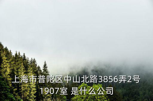上海市普陀區(qū)中山北路3856弄2號1907室 是什么公司