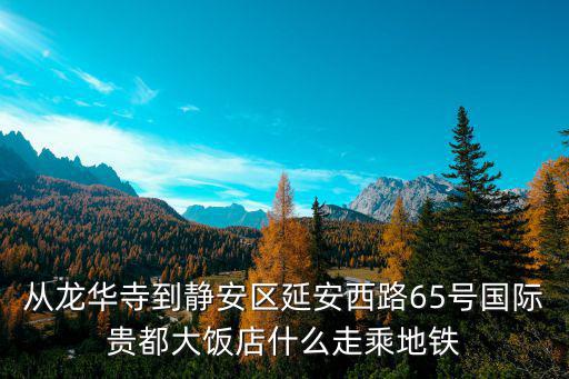 從龍華寺到靜安區(qū)延安西路65號國際貴都大飯店什么走乘地鐵