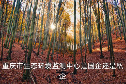 重慶市生態環境監測中心是國企還是私企