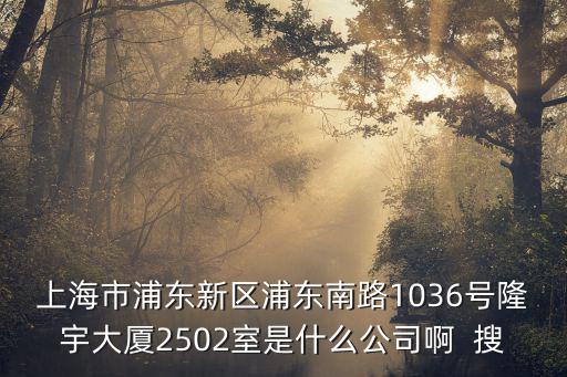 上海市浦東新區浦東南路1036號隆宇大廈2502室是什么公司啊  搜