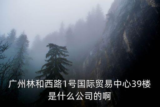 廣州思盈貿易有限公司，廣州林和西路1號國際貿易中心39樓是什么公司的啊