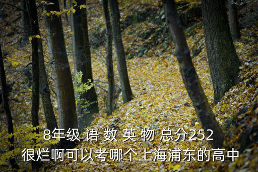 8年級 語 數 英 物 總分252 很爛啊可以考哪個上海浦東的高中