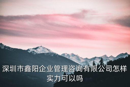 深圳市鑫陽企業管理咨詢有限公司怎樣實力可以嗎