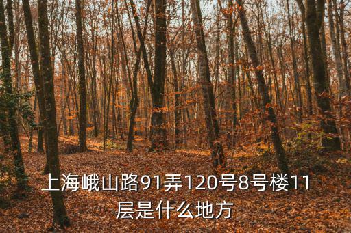 上海市峨山路是哪個區(qū)，上海峨山路91弄120號8號樓11層是什么地方