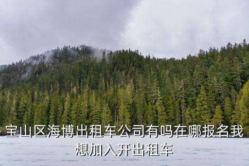 寶山區海博出租車公司有嗎在哪報名我想加入開出租車