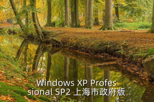 Windows XP Professional SP2 上海市政府版