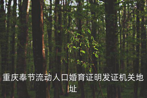 重慶奉節(jié)流動人口婚育證明發(fā)證機關(guān)地址