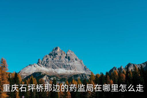重慶市九龍坡區食藥監局，重慶九龍坡區質監站在什么地方