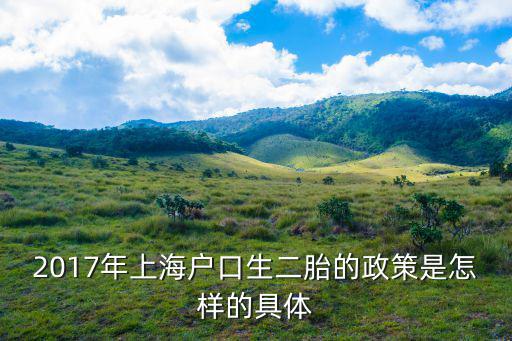 上海市二孩政策落實情況，上海市全面開放二胎政策是什么時候