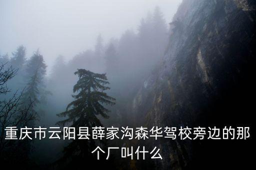 重慶市云陽縣薛家溝森華駕校旁邊的那個廠叫什么
