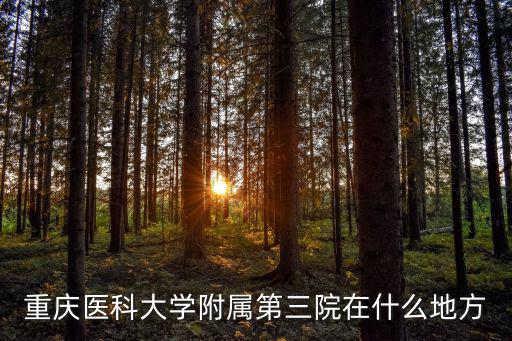 重慶醫科大學附屬第三院在什么地方