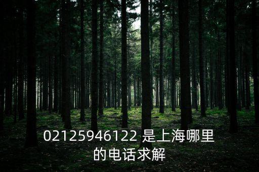 02125946122 是上海哪里的電話求解