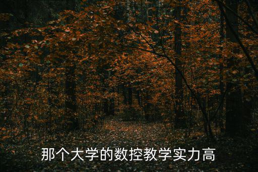 那個大學的數控教學實力高