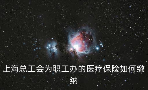 上海總工會(huì)為職工辦的醫(yī)療保險(xiǎn)如何繳納