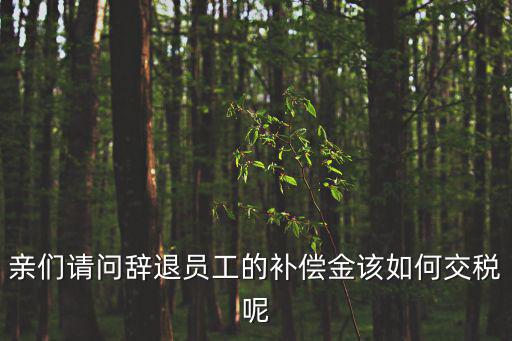 親們請(qǐng)問(wèn)辭退員工的補(bǔ)償金該如何交稅呢
