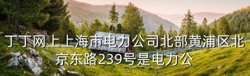 丁丁網上上海市電力公司北部黃浦區北京東路239號是電力公