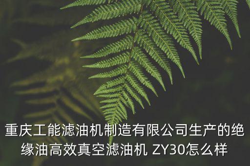 重慶市恒海環衛設備有限公司，黑石子垃圾處理廠是重慶市環衛集團哪個部門在負責