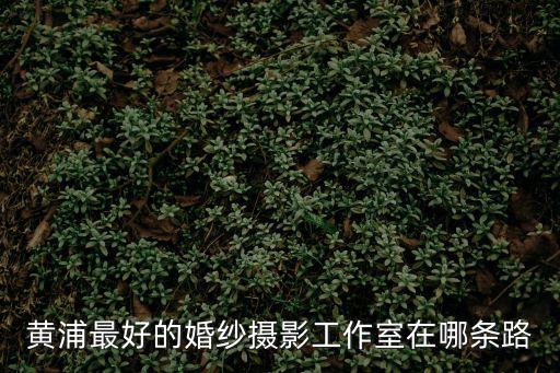 上海市黃浦區照相館，黃浦最好的婚紗攝影工作室在哪條路