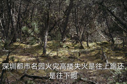 深圳都市名園火災(zāi)高樓失火是往上跑還是往下跑