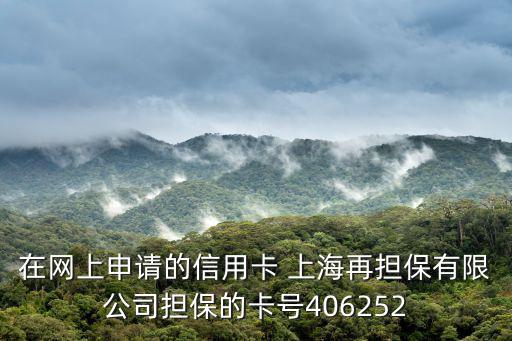 在網上申請的信用卡 上海再擔保有限公司擔保的卡號406252