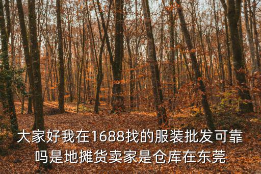 大家好我在1688找的服裝批發可靠嗎是地攤貨賣家是倉庫在東莞